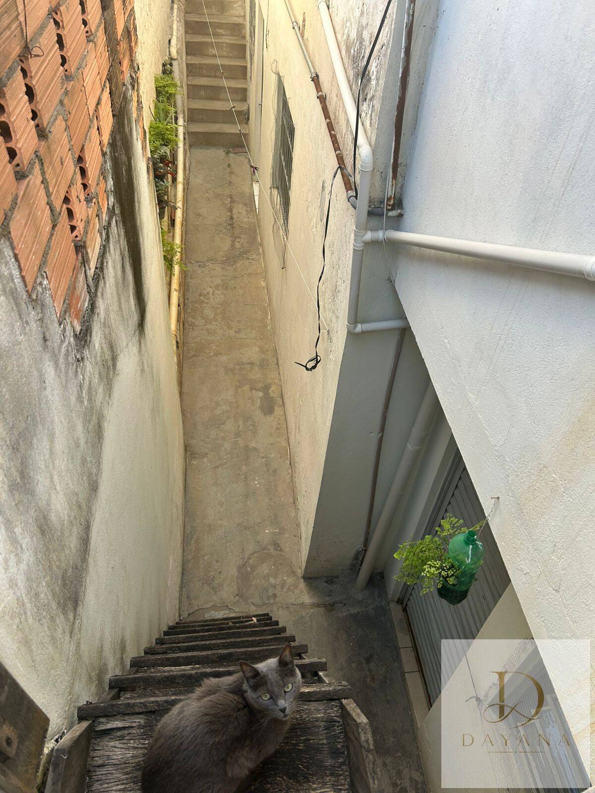 Casa, 3 quartos - Foto 28