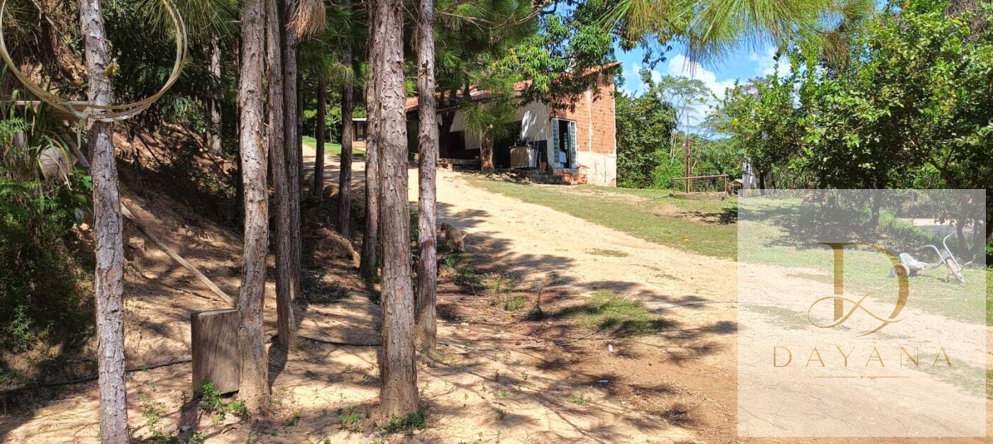 Sítio, 2 quartos, 1 hectares - Foto 3