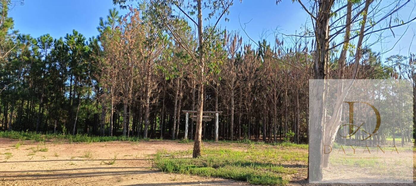 Sítio, 2 quartos, 1 hectares - Foto 21
