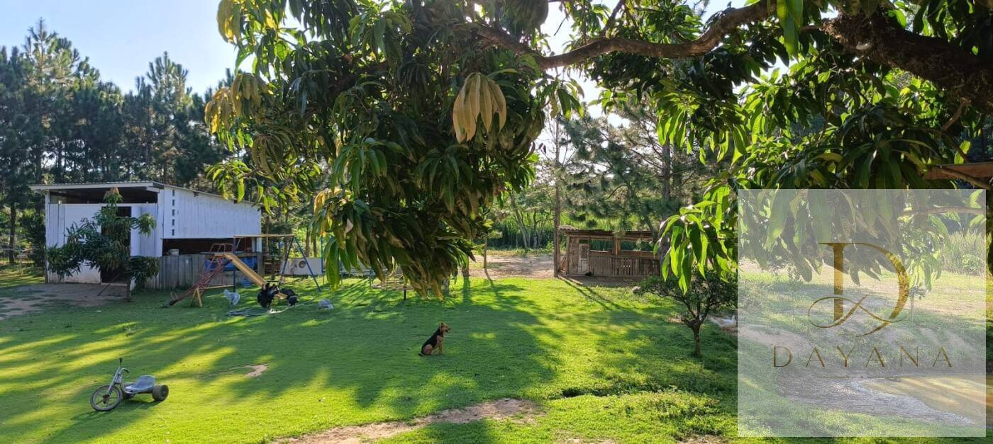 Sítio, 2 quartos, 1 hectares - Foto 32