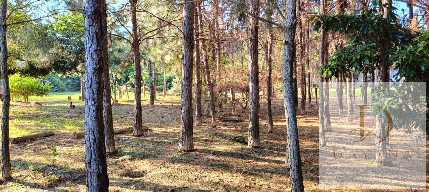 Sítio, 2 quartos, 1 hectares - Foto 35