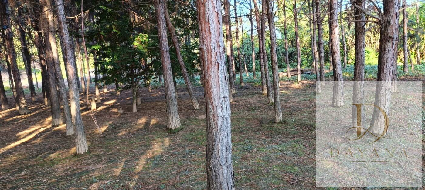 Sítio, 2 quartos, 1 hectares - Foto 34