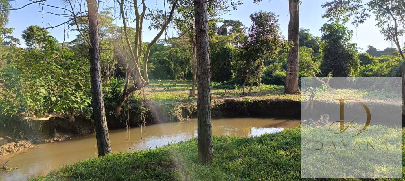 Sítio, 2 quartos, 1 hectares - Foto 37