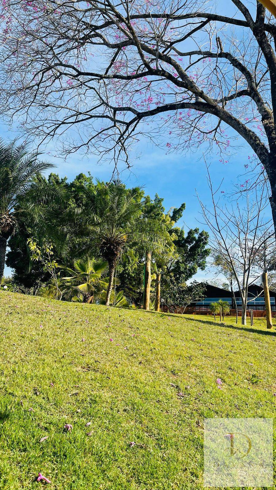 Terreno, 200 m² - Foto 9