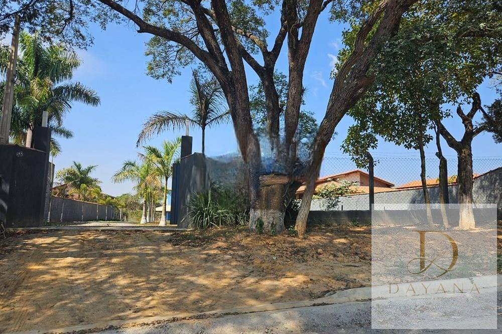 Sítio, 4 quartos, 4255 m² - Foto 4