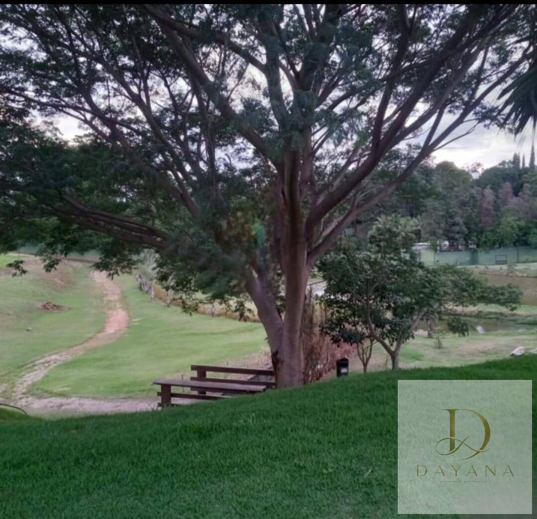Terreno, 250 m² - Foto 4
