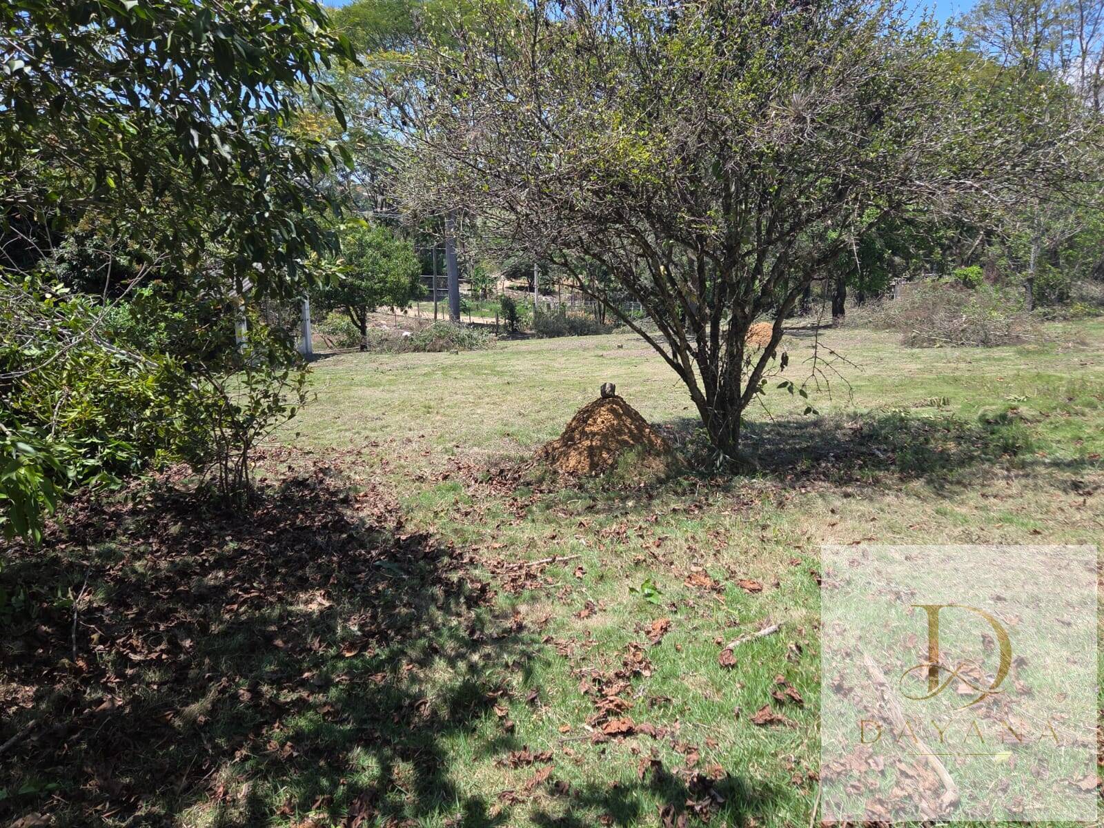 Terreno, 5600 m² - Foto 11