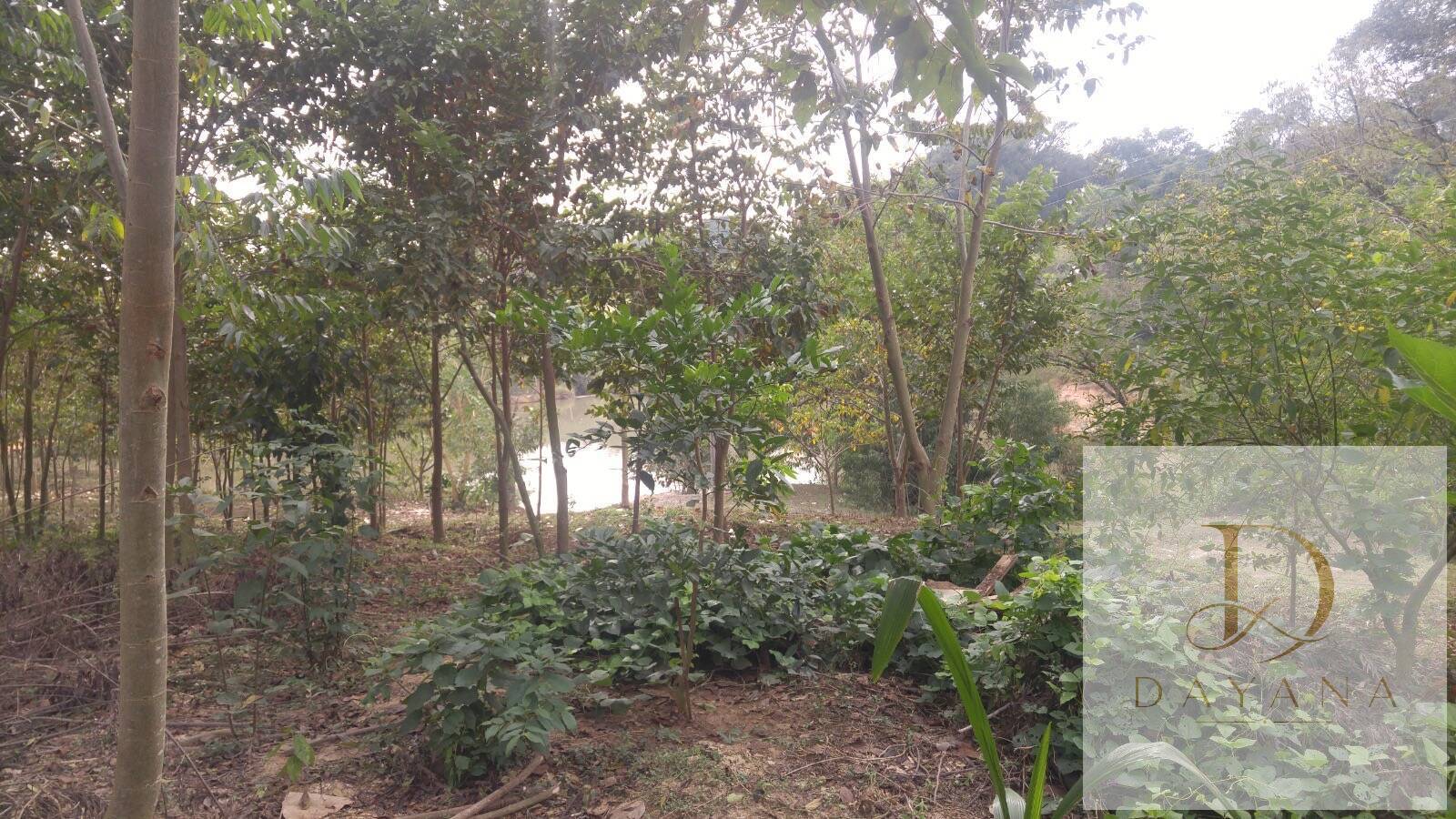 Sítio, 2 quartos, 4 hectares - Foto 4