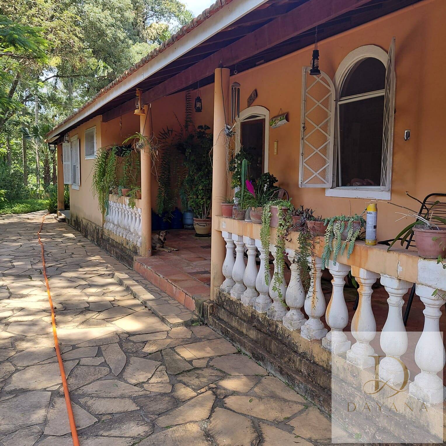 Sítio, 2 quartos, 4 hectares - Foto 10