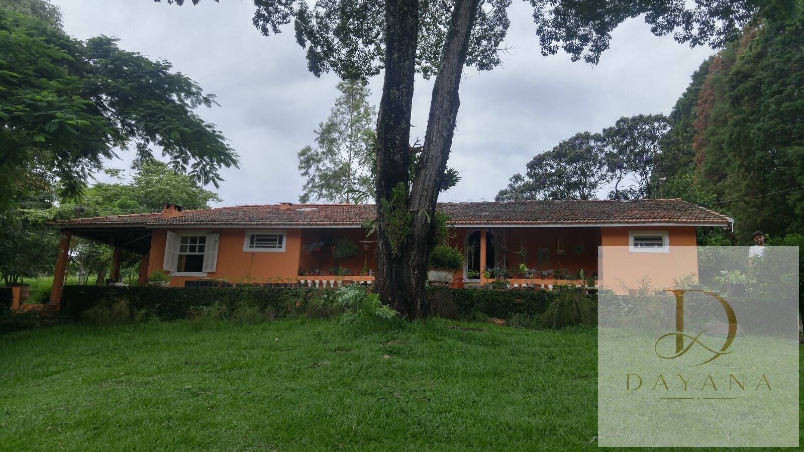 Sítio, 2 quartos, 4 hectares - Foto 14