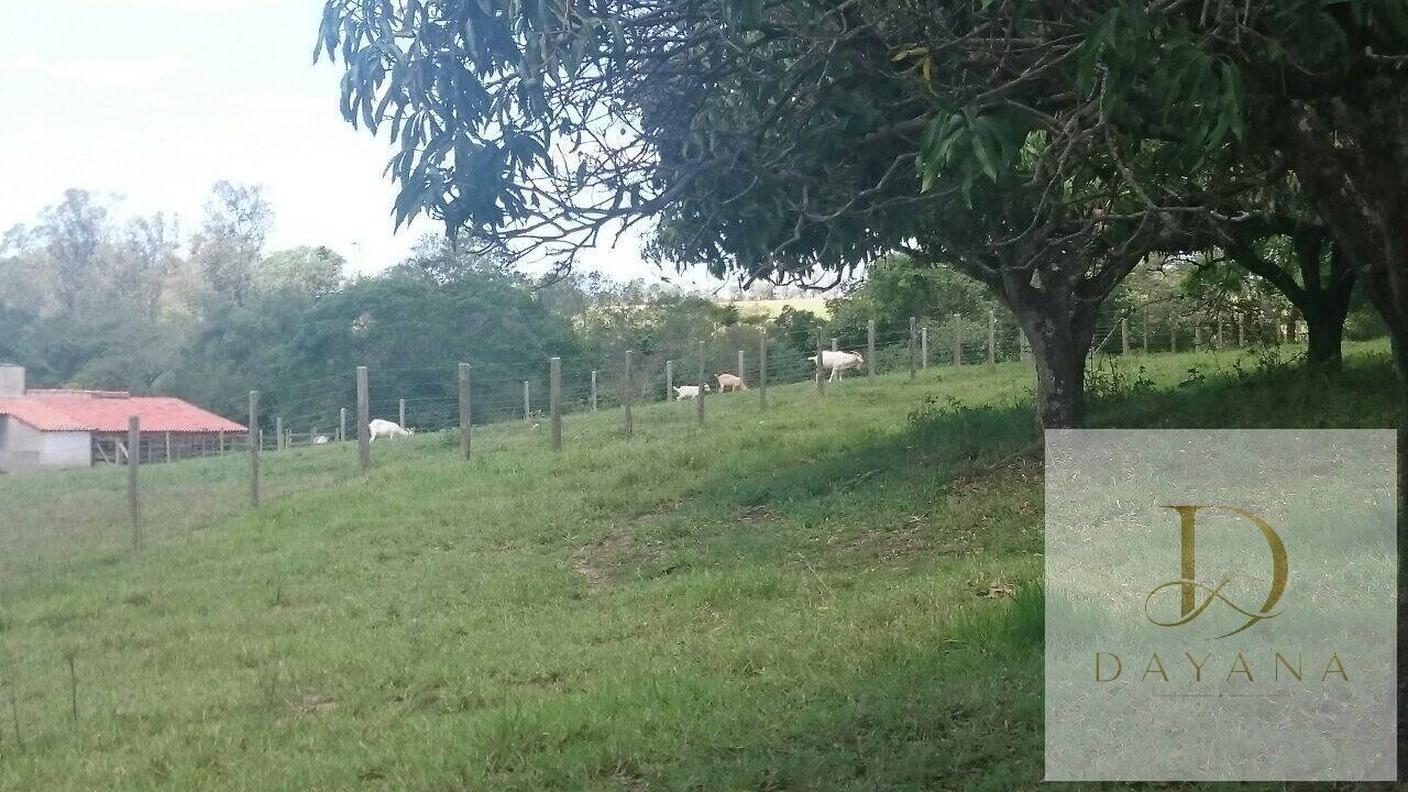 Sítio, 2 quartos, 4 hectares - Foto 28