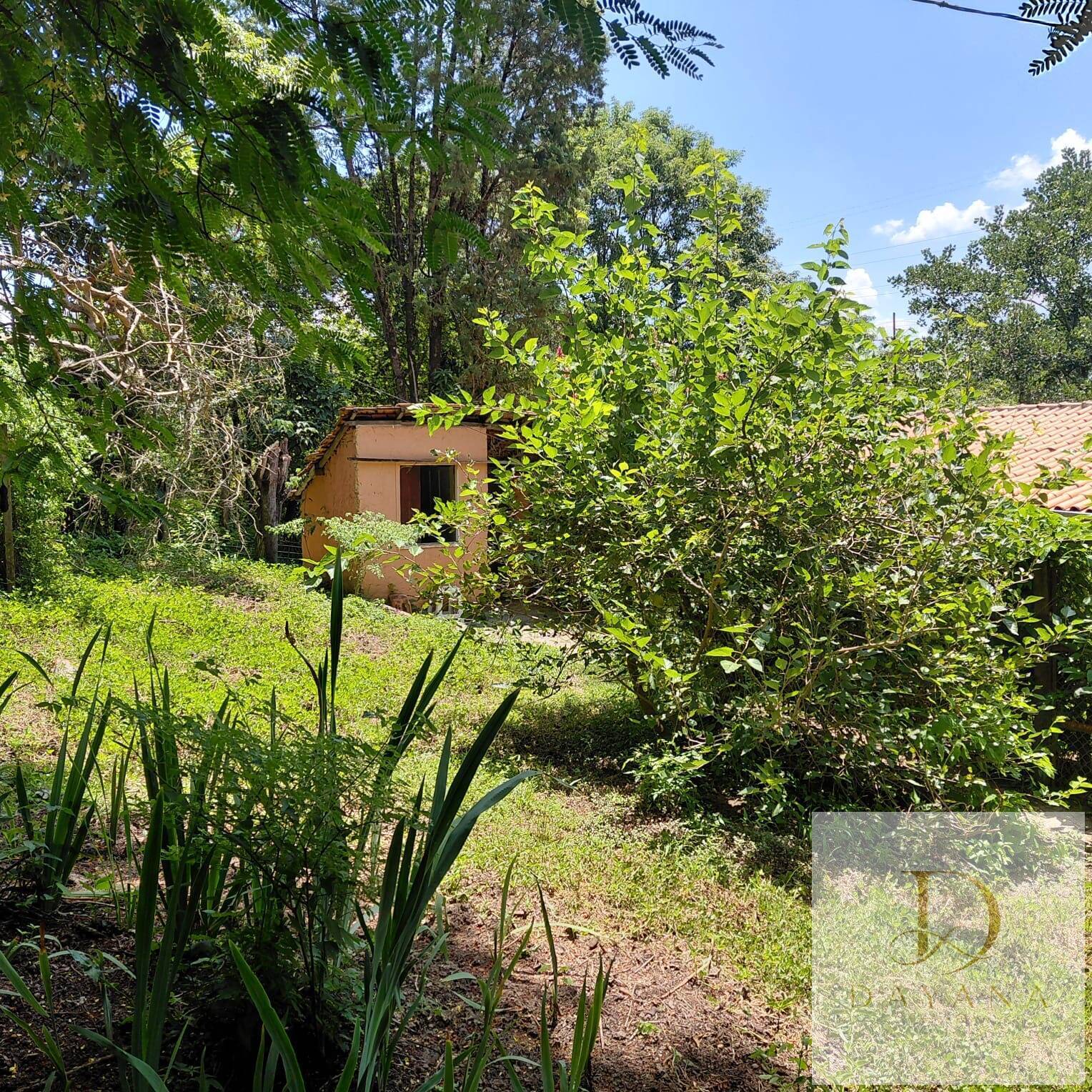 Sítio, 2 quartos, 4 hectares - Foto 31